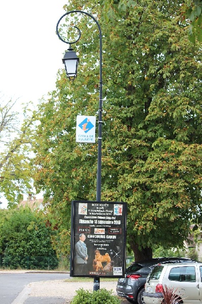 CH. Miss-dior Des senteurs d'opium - Classe puppy femelles: 1ére TRES PROMETTEUR & Meilleur femelle puppy