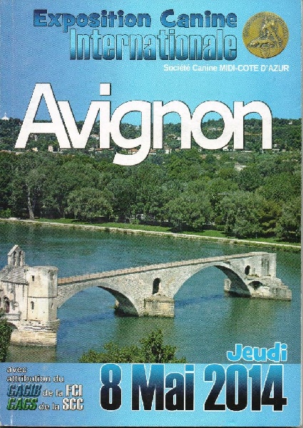CH. Guang-zhao Des Plissés Du Maoling - Classe ouverte mâles : 1er EXCELLENT RCACS