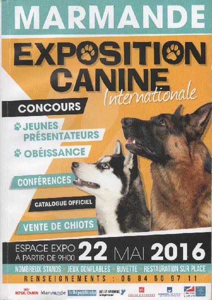 CH. Guang-zhao Des Plissés Du Maoling - classe ouverte mâles: 2 éme EXCELLENT R-CACS & R-CACIB