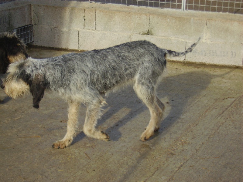 Publication : des étoiles de l'Armagnac