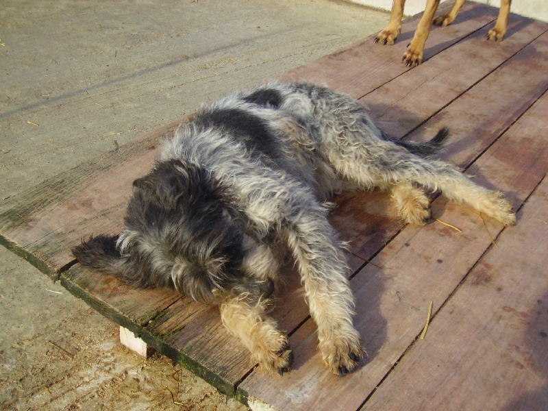 Publication : des étoiles de l'Armagnac