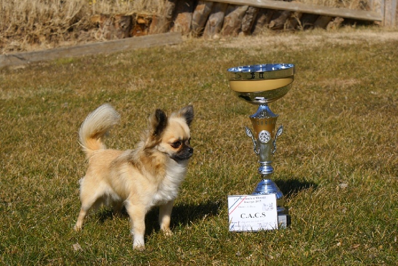 Publication : des Gardiens du Minervois Auteur : Marie Ruby