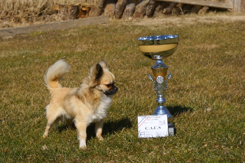 Publication : des Gardiens du Minervois Auteur : Marie Ruby