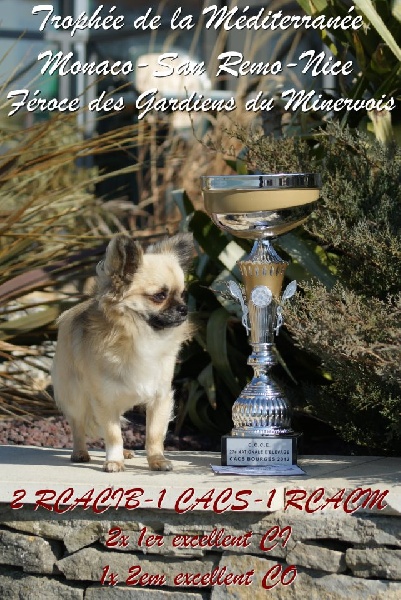 Publication : des Gardiens du Minervois Auteur : Marie Ruby