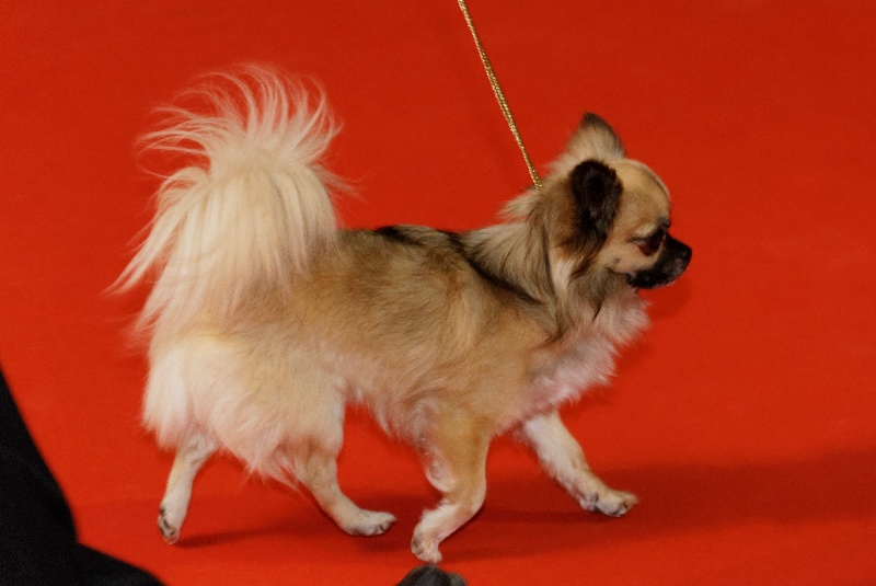 Publication : des Gardiens du Minervois Auteur : Marie Ruby