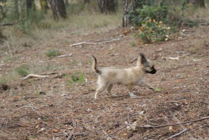 Publication : des Gardiens du Minervois Auteur : Marie Ruby