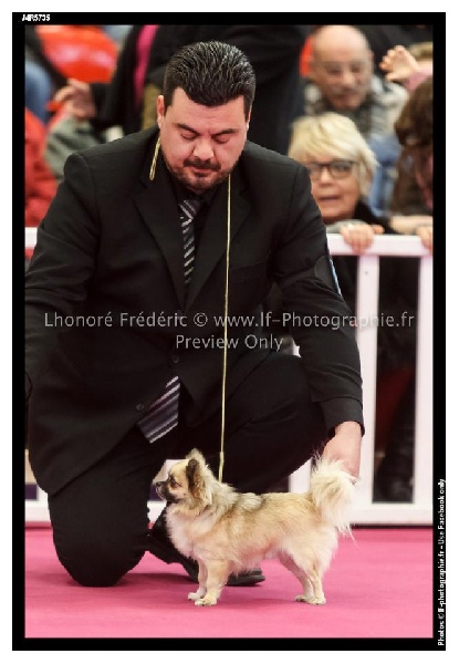 Publication : des Gardiens du Minervois Auteur : Marie Ruby