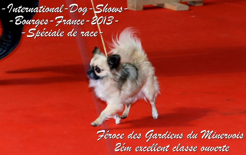 Publication : des Gardiens du Minervois Auteur : Marie Ruby