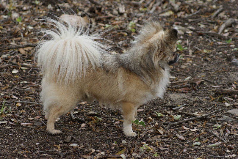 Publication : des Gardiens du Minervois Auteur : Marie Ruby