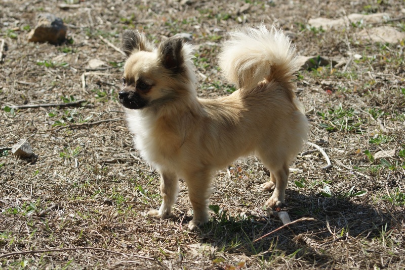 Publication : des Gardiens du Minervois Auteur : Marie Ruby