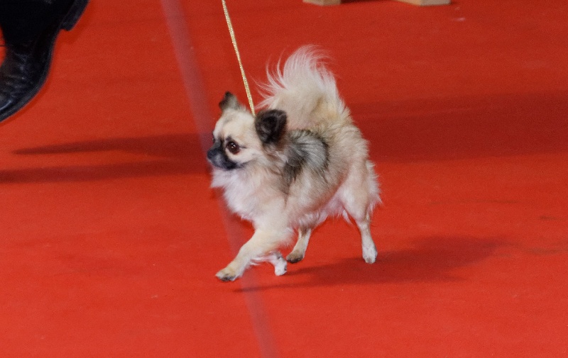 Publication : des Gardiens du Minervois Auteur : Marie Ruby