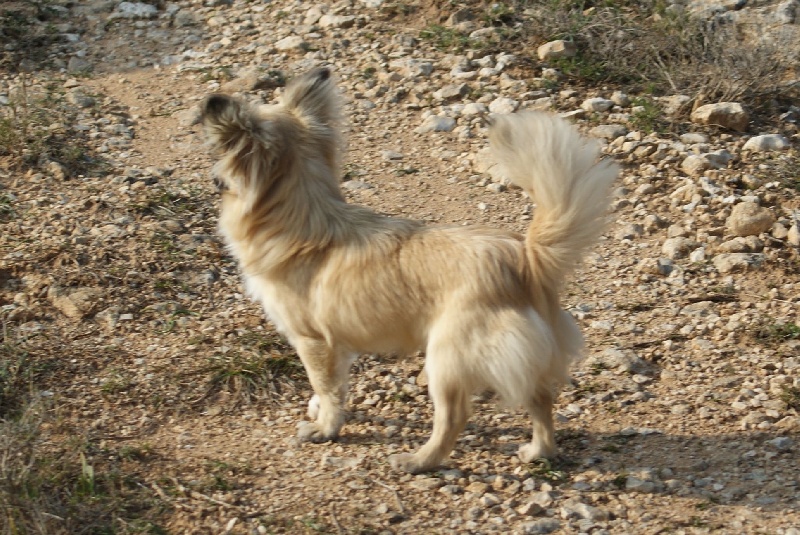 Publication : des Gardiens du Minervois Auteur : Marie Ruby