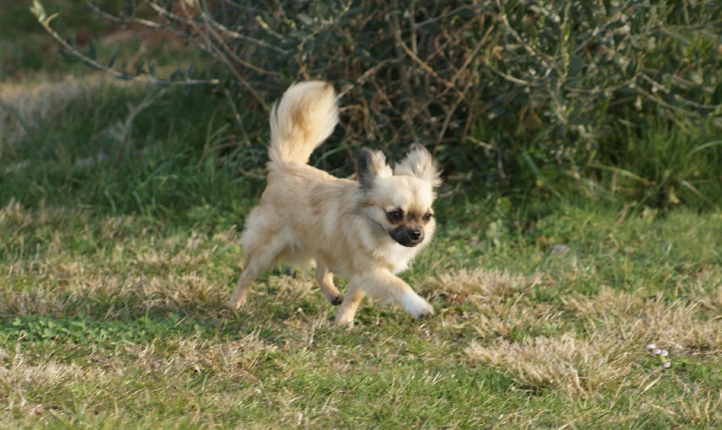 Publication : des Gardiens du Minervois Auteur : Marie Ruby