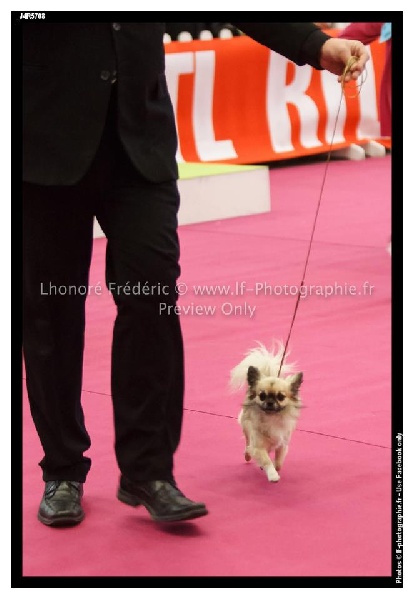 Publication : des Gardiens du Minervois Auteur : Marie Ruby