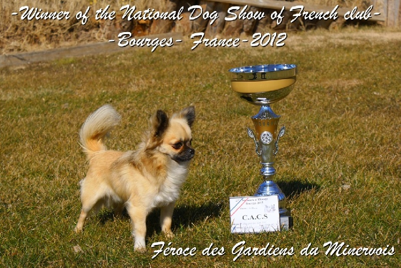 Publication : des Gardiens du Minervois Auteur : Marie Ruby