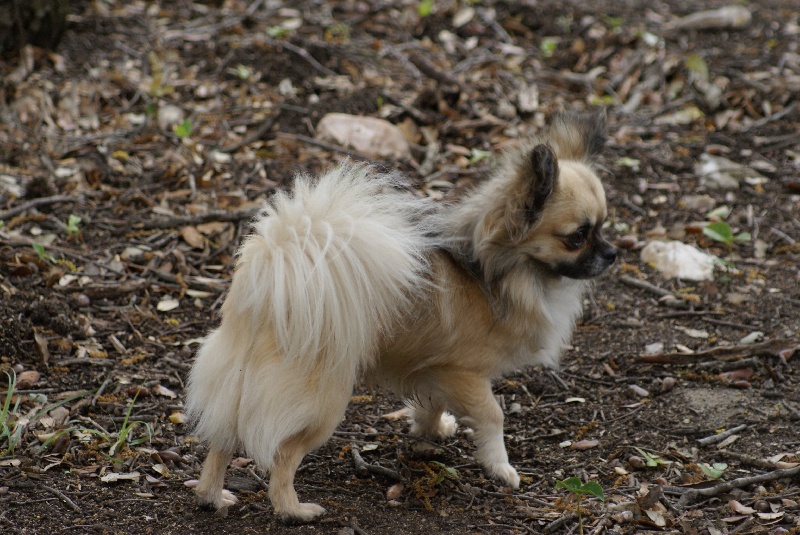 Publication : des Gardiens du Minervois Auteur : Marie Ruby