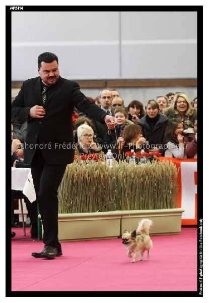 Publication : des Gardiens du Minervois Auteur : Marie Ruby