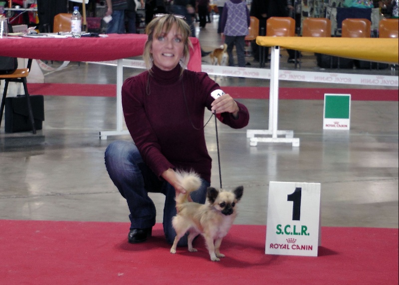 CH. Fèroce jfr des Gardiens du Minervois - 1er Excellent classe jeune et meilleur jeune de race