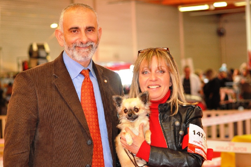 CH. Fèroce jfr des Gardiens du Minervois - 1er excellent classe intermédiaire CACIB et CACS et Meilleur de race