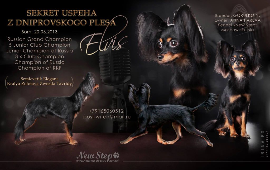 Publication : Kalinka Style Auteur : Surikova L.A