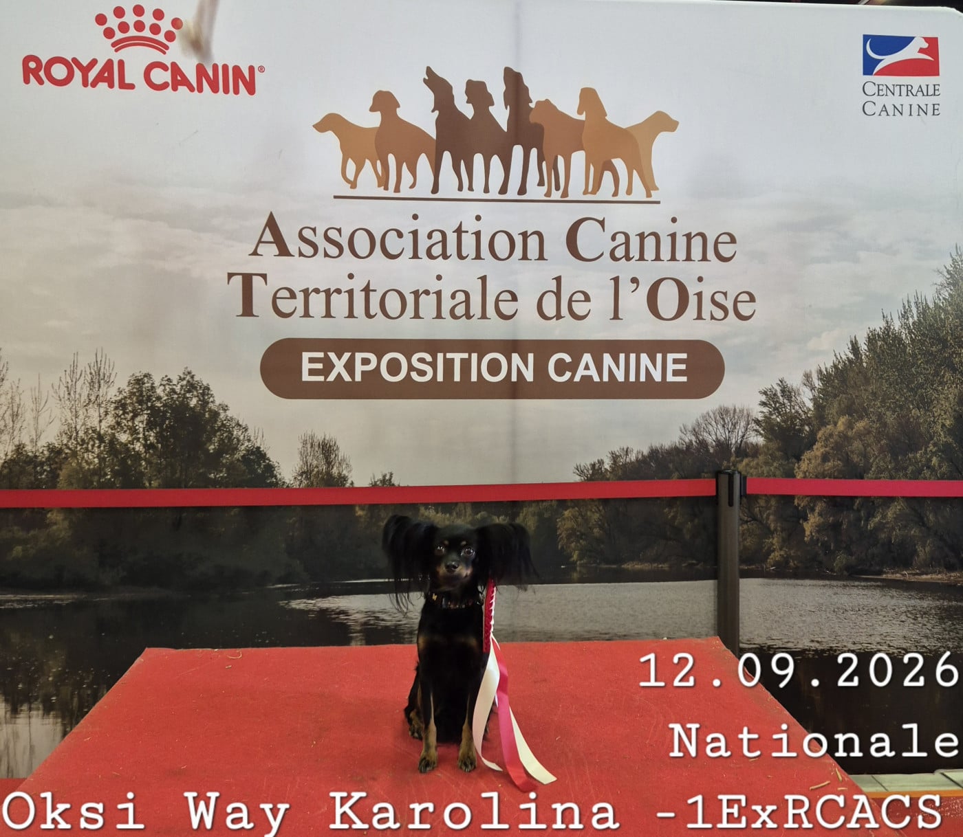 oksi way KAROLINA - 1 EXCELLENT RCACS