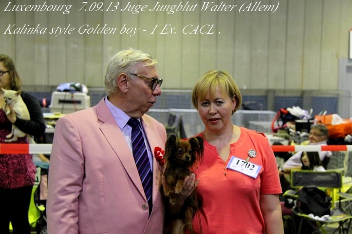 CH. Kalinka Style Golden boy - 1 Excellent,classe intermediaire CACL
