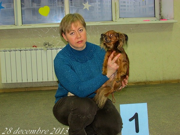 CH. Kalinka Style Golden boy - 1 Excellent CACS Meilleur de Race /adulte/ СW