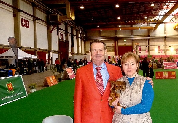CH. Kalinka Style Golden boy - 1 Ехсellent.classe intermediaire CAC-CACIB.Meilleur de race.Porto Winner 2013