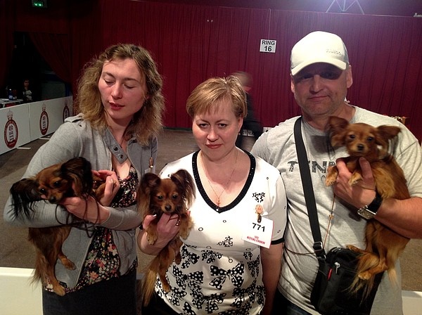 CH. Kalinka Style Golden boy - 1 Excellent,classe intermediaire RCACS