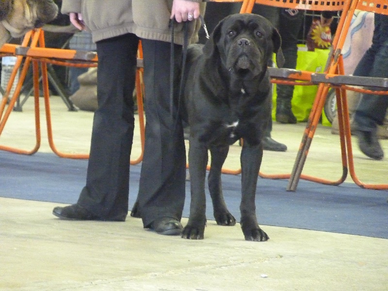 Canaille des Terres de la Gatine - 4e excellent