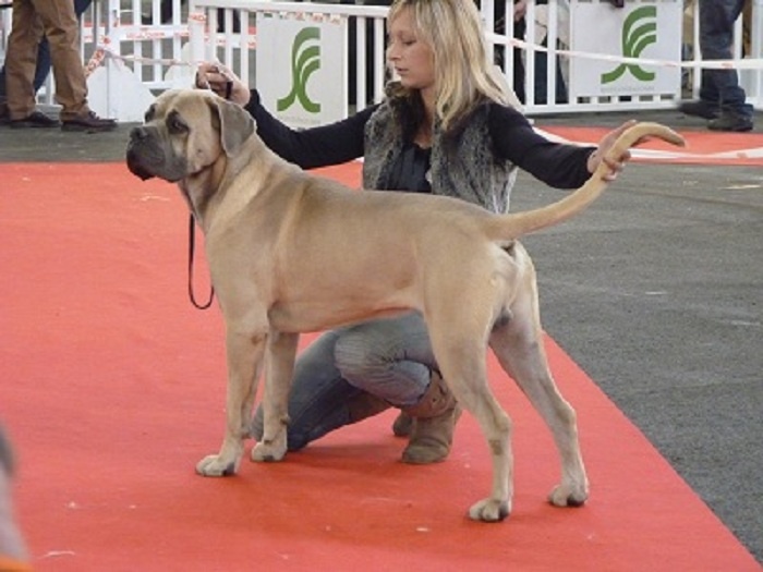 Enhancer du domaine de la Goupillère - 1ere excellent RCACS RCACIB