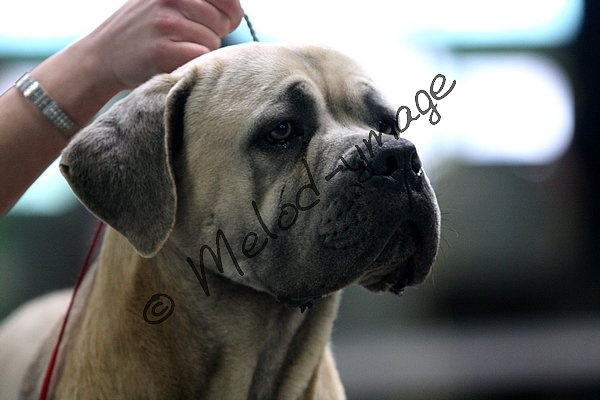 Enhancer du domaine de la Goupillère - 2eme excellent