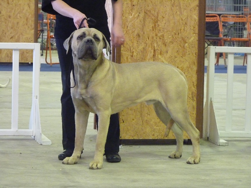 Enhancer du domaine de la Goupillère - 1er excellent