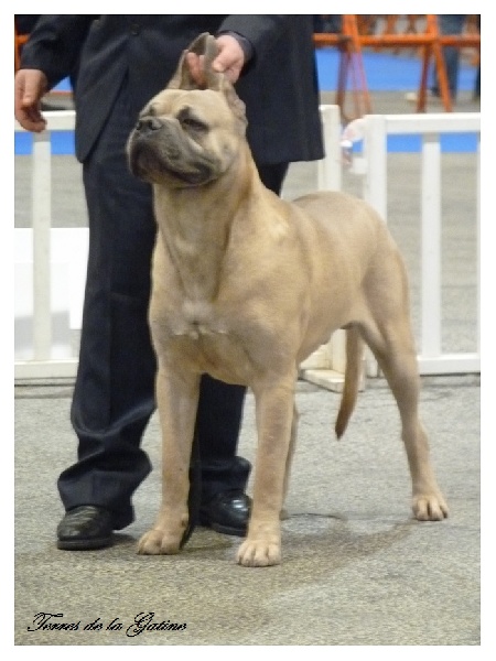 Enhancer du domaine de la Goupillère - 2eme excellent