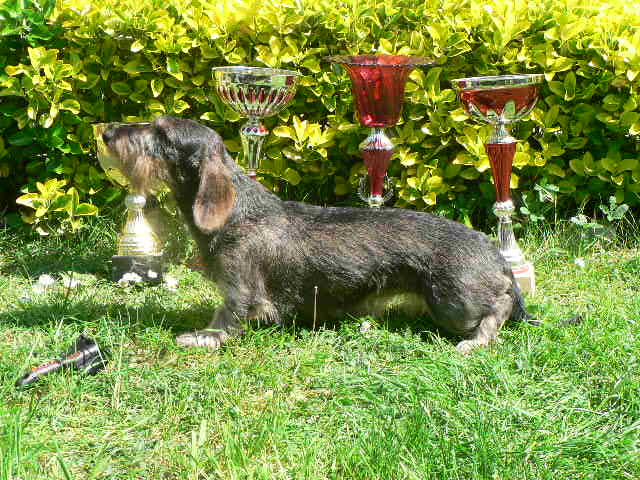 Publication : des Petites Pattes du Causse Auteur : LOMPECH LUDOVIC