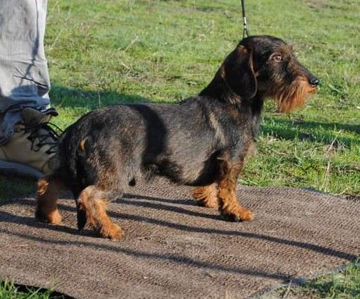 Publication : des Petites Pattes du Causse