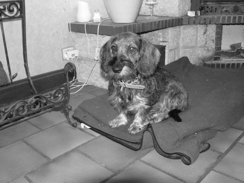 Publication : des Petites Pattes du Causse Auteur : LOMPECH LUDOVIC