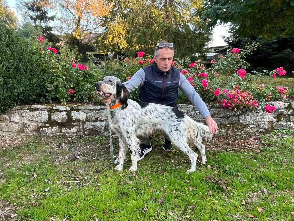 TR. Sisko Des Bords De Cisse