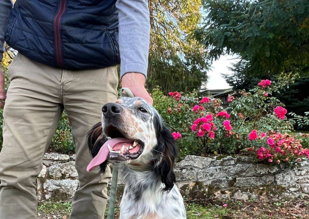 TR. Sisko Des Bords De Cisse