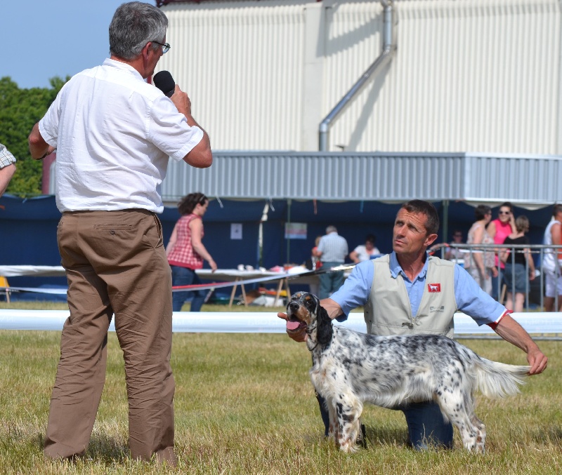 Icône Des Berges De L'illet - 1ère Excellent en Classe Jeunes Femelles