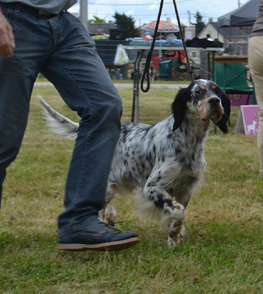 Icône Des Berges De L'illet - 2ème Excellent en COF