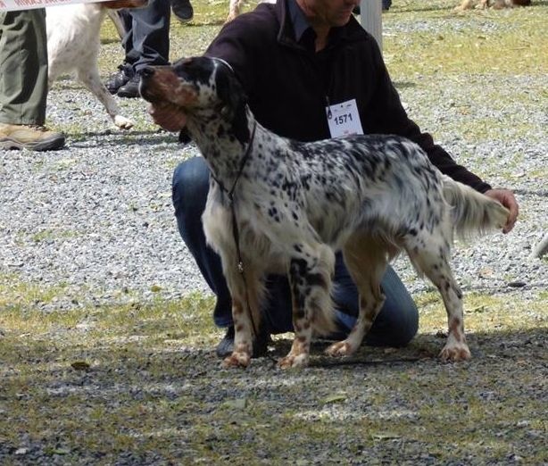 Icône Des Berges De L'illet - 4ème Excellent CIF
