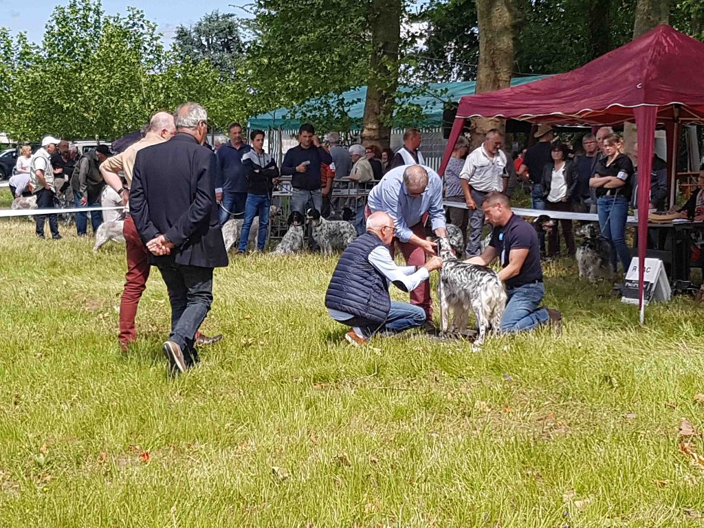 Icône Des Berges De L'illet - Exc. en COF