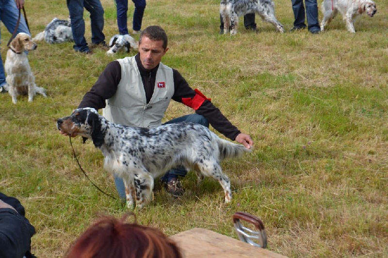 Icône Des Berges De L'illet - 4ème Excellent CIF