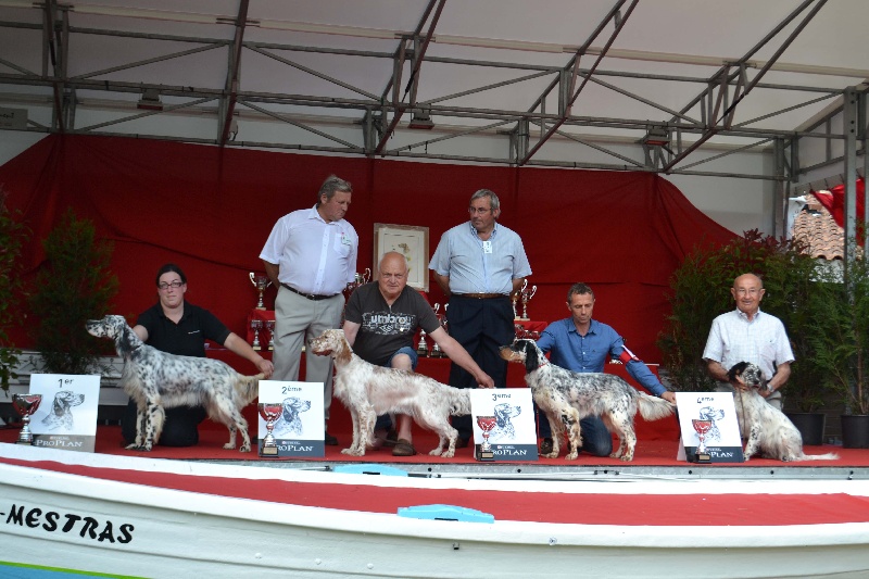 Icône Des Berges De L'illet - 3ème Excellent CJF