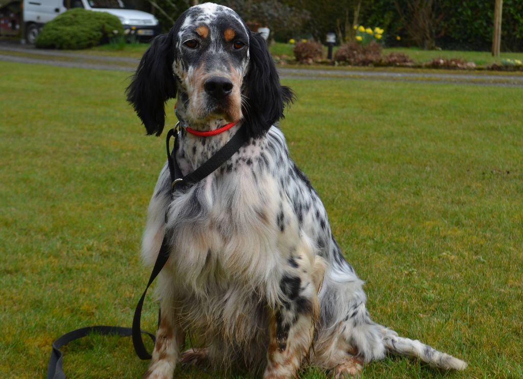 Icône Des Berges De L'illet - 2ème Exc. en COF