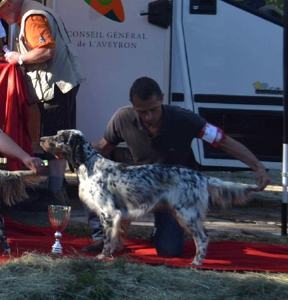 Icône Des Berges De L'illet - 4ème Excellent TOP