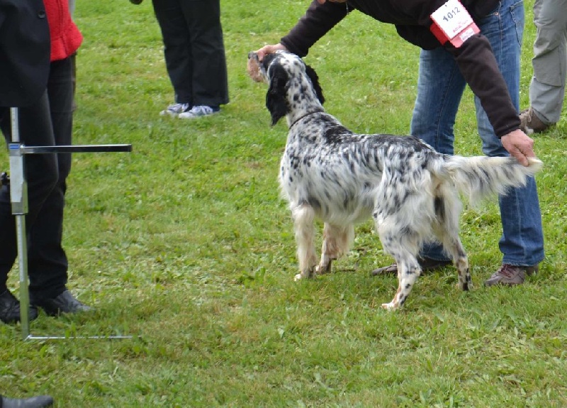 Icône Des Berges De L'illet - 4ème Excellent CIF