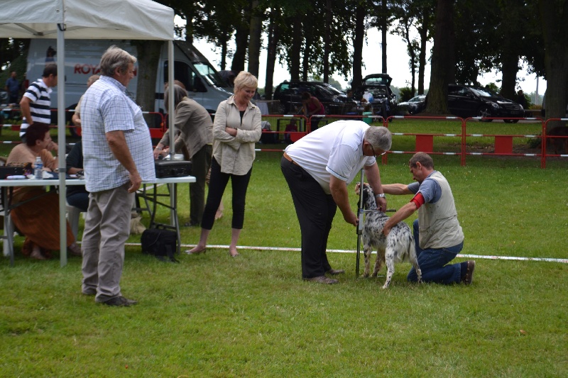 Icône Des Berges De L'illet - 2ème Excellent CJF