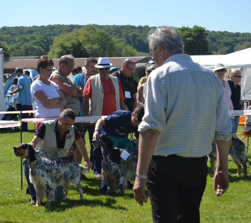 Icône Des Berges De L'illet - 3ème Excellent Classe Ouverte Femelles